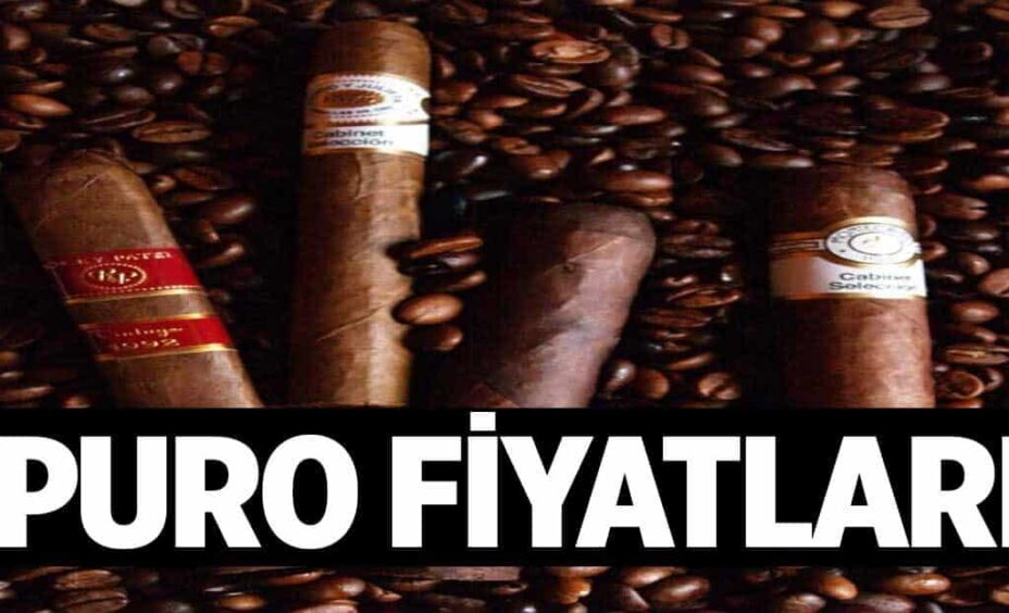 Puro Fiyatlari 1024x622KOI.jpg