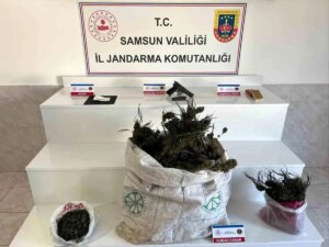 bafrada uyusturucu operasyonu hvdxK1z1.jpg