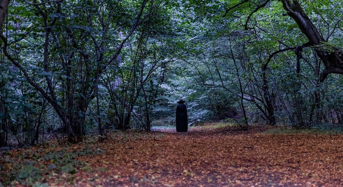 transilvanyanin perili ormani hoia baciuda ufolar ve gizemli gece turlari kQKDrZWN.jpg